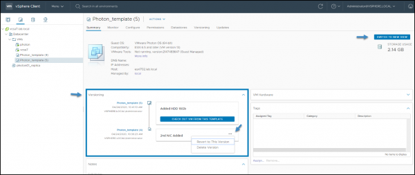 Check-In and Check-out Operations in vSphere 7.0