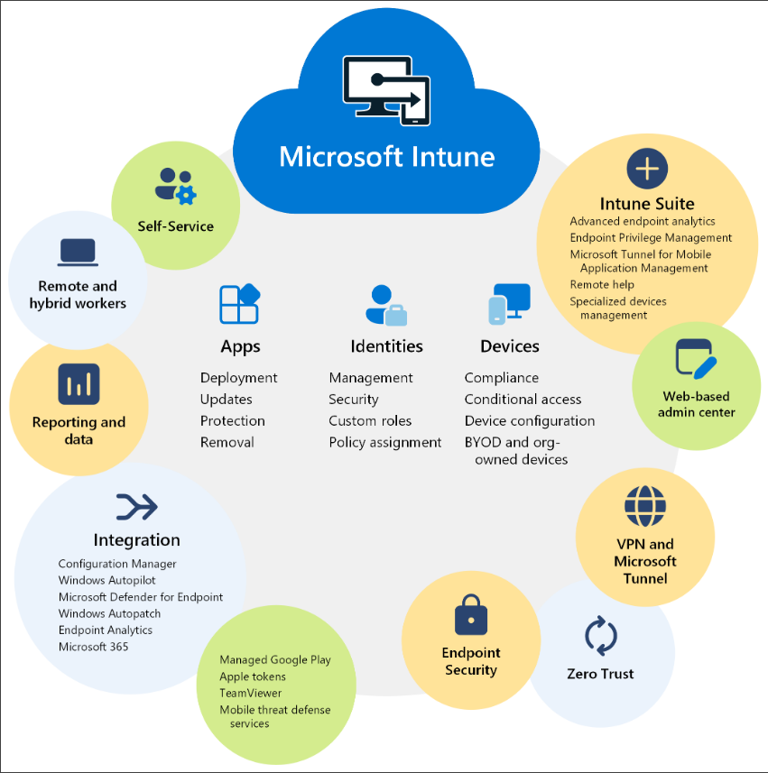 Overview of Microsoft Intune features and devices