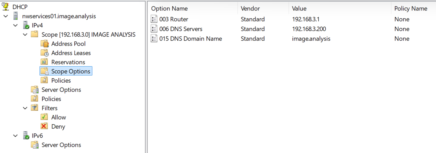 The scope options we need for a functional network address and dynamic DNS registration to work 